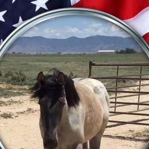 Meet your Posher, Mariah